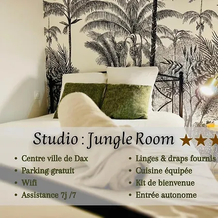 Jungle Room, Centre Lägenhet Dax