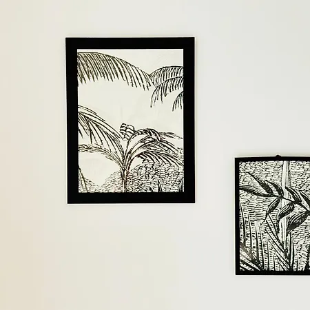Appartement Jungle Room, Centre Dax