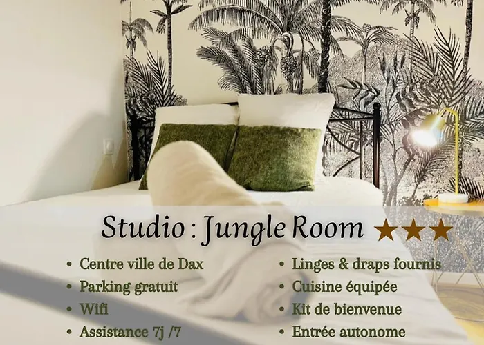 Jungle Room, Centre Lägenhet Dax