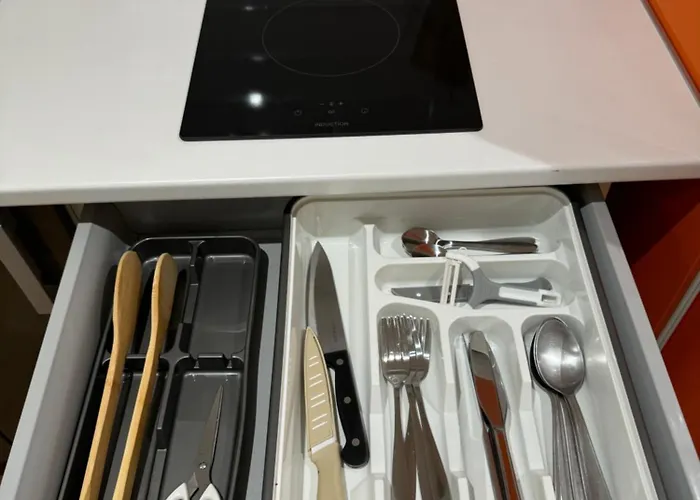 Jungle Room, Centre Dax